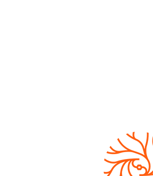 https://stormnt.com/wp-content/uploads/2023/09/sr-h-bg-1-1.png