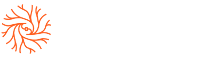 https://stormnt.com/wp-content/uploads/2024/12/logo-horizontal.png